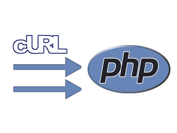 get status code php curl